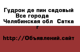 Гудрон де пин садовый - Все города  »    . Челябинская обл.,Сатка г.